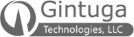 gt logo